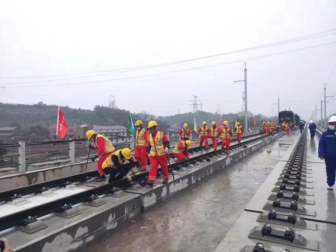 1698977669398373.jpg 3.jpg