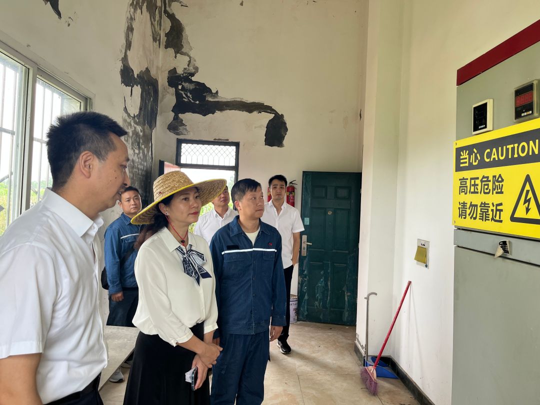 1724658413800088.jpg 3.jpg