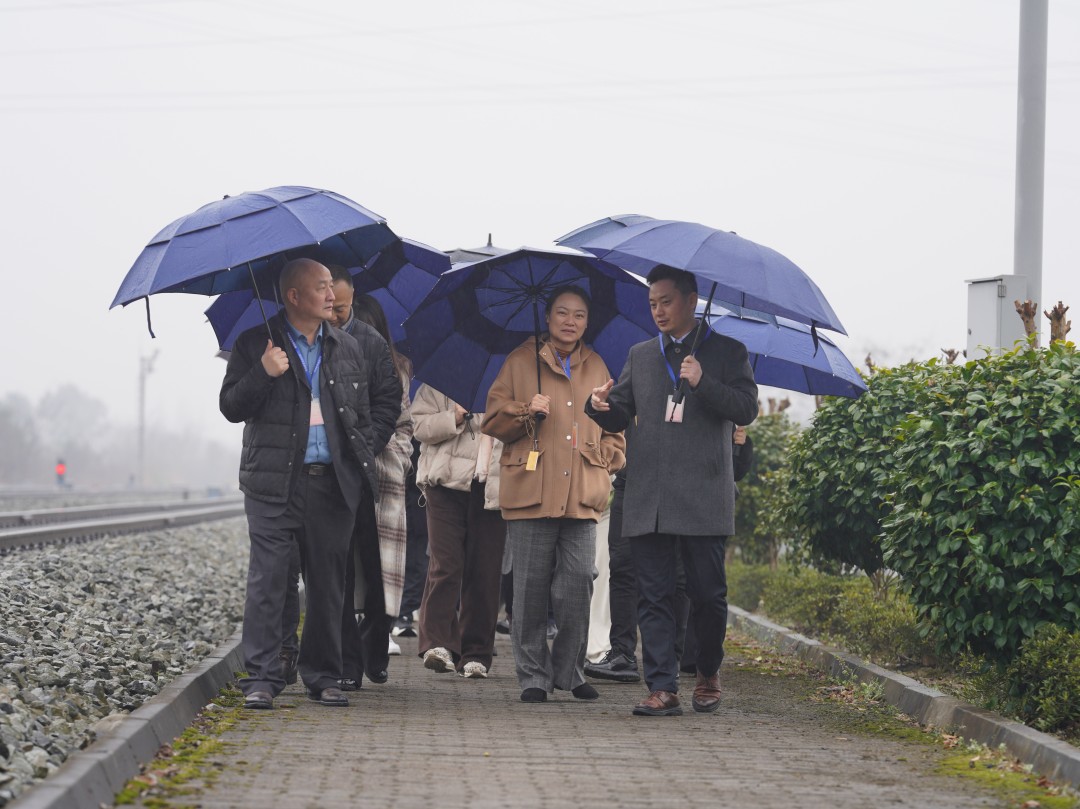 1738810026280043.jpg DSC09616.jpg