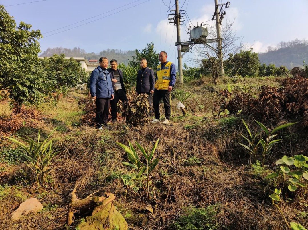 1739264882467387.jpg 图片1.jpg