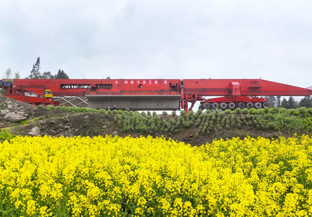 1742536061546883.jpg 01.jpg