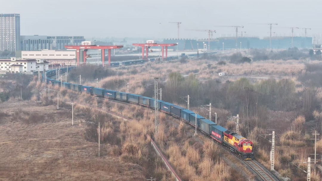 1771982006207694.jpg 2.jpg