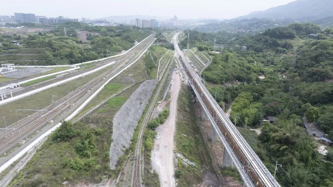 1780455294880489.jpg 图2.jpg